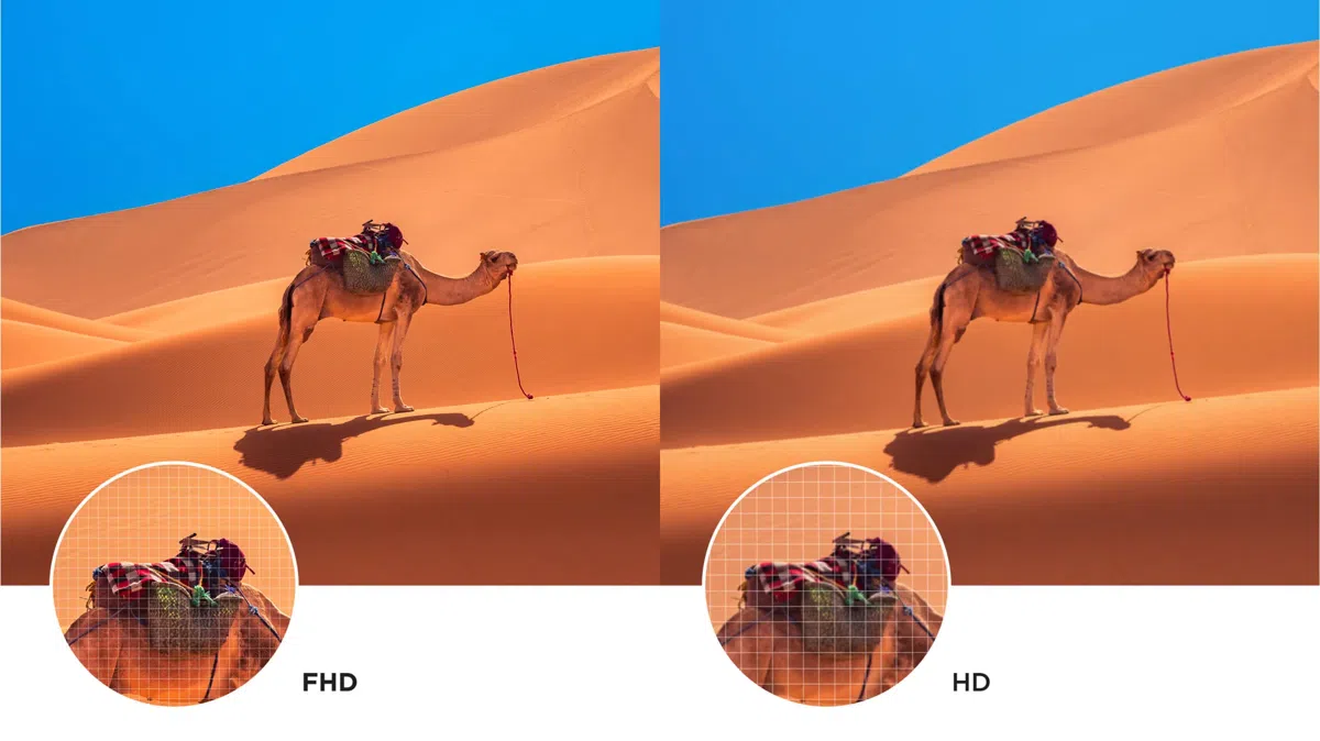 Couleurs QLED TCL S5K