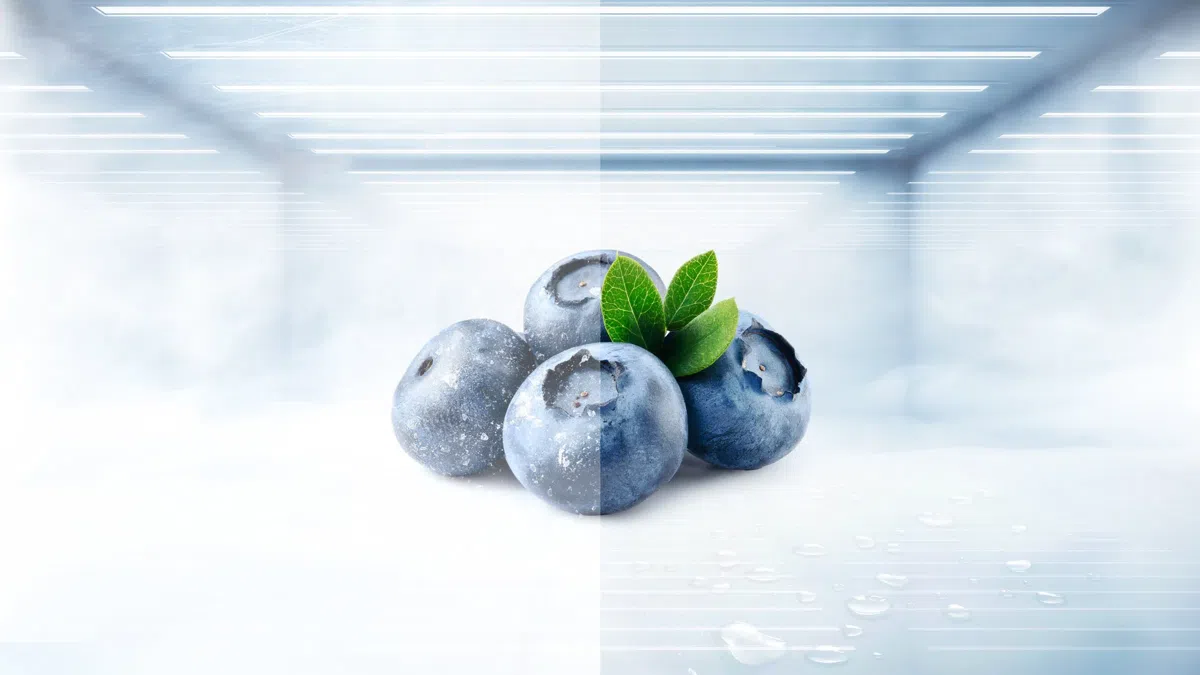 Capacité réfrigérateur TCL 410 L