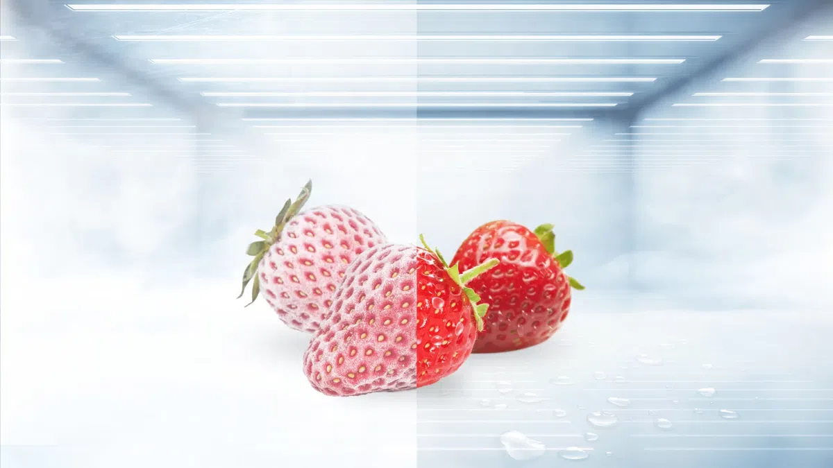 Réfrigérateur TCL Healthy Fresh P635SBSN Side-by-Side 488L Inox