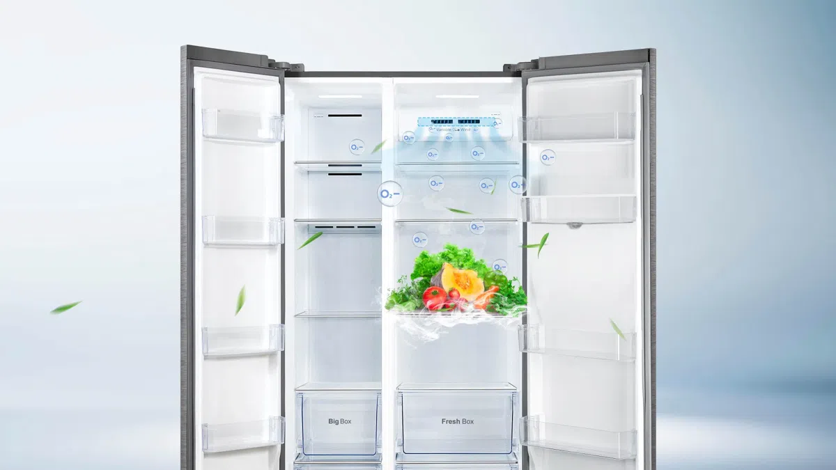 Design TCL P635SBSN Side-by-Side Inox
